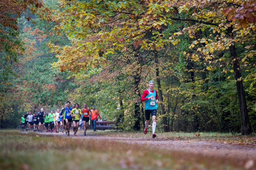 Start zapisów - przesunięty