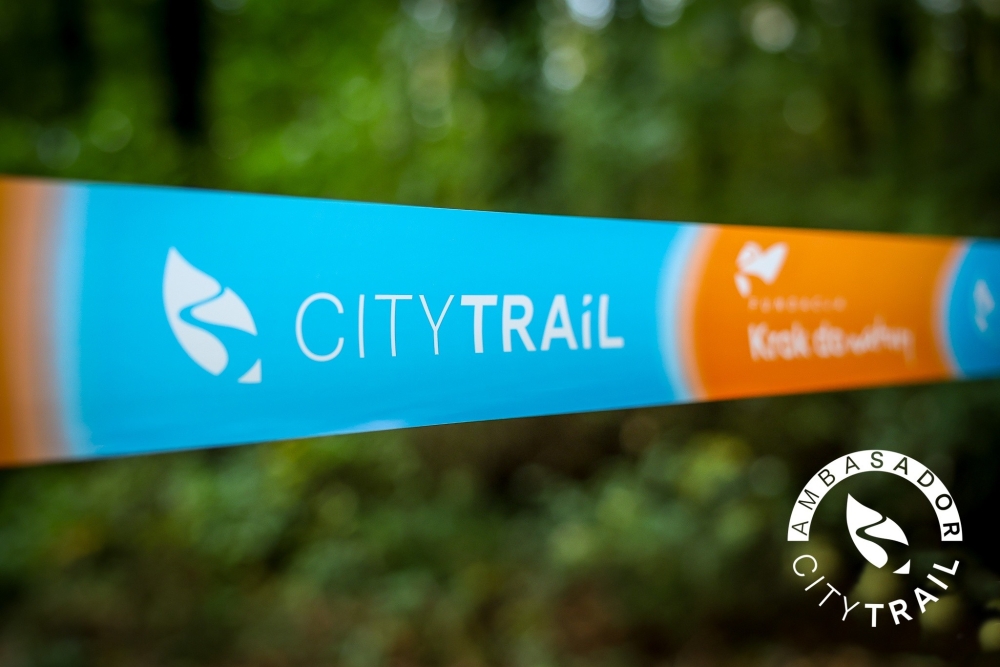 Kalendarz ambasadorski (17-23 listopada)